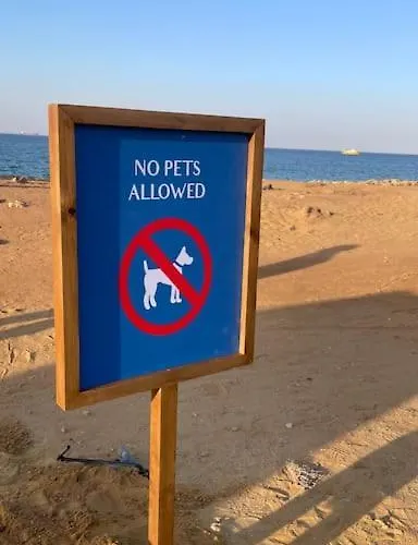 Rooftop In Ainsokhnatelal, Families Only, No Pets Allowed عين السخنة